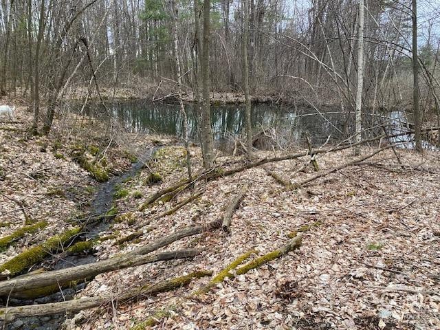 255 Covenant Cir, East Nassau, NY 12062
