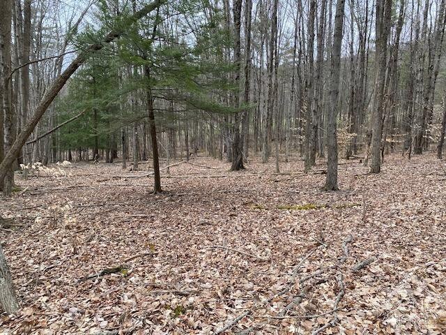 255 Covenant Cir, East Nassau, NY 12062