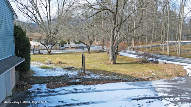 view of yard covered in snow