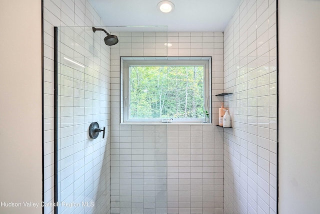 158 Rivka Rd, Saugerties, NY 12477 - bathroom with a tile shower