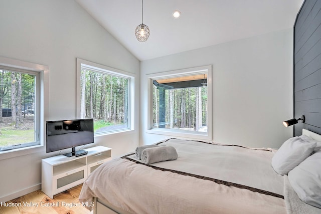 158 Rivka Rd, Saugerties, NY 12477 - bedroom featuring baseboards and vaulted ceiling