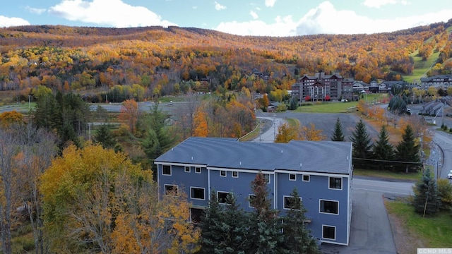 292 S St Unit 2, Windham, NY 12496 - aerial view of property and surrounding area featuring a forest