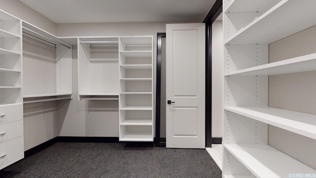 292 S St Unit 2, Windham, NY 12496 - walk in closet with dark colored carpet