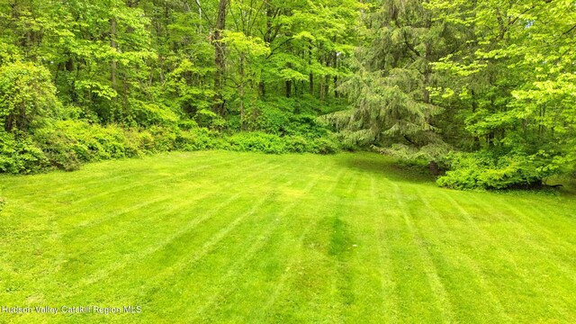 91 Miller Rd, Canaan, NY 12029 - photo 51