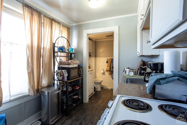29 Railroad Ave, Chatham, NY 12037 - kitchen with electric stove, dark wood-style floors, white cabinetry, crown molding, and black microwave