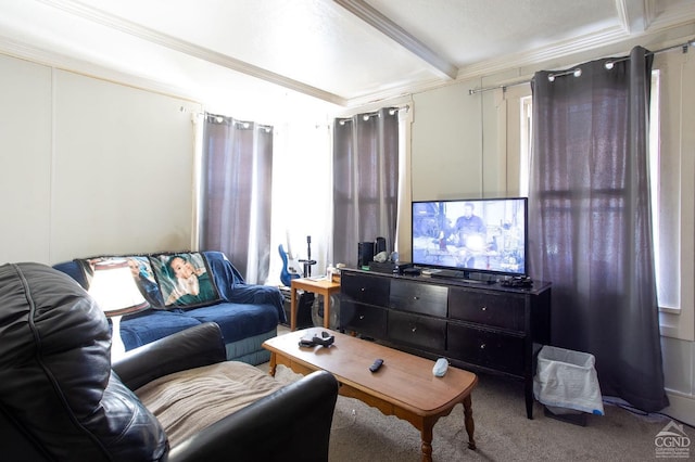 29 Railroad Ave, Chatham, NY 12037 - living room with beamed ceiling, carpet flooring, and ornamental molding