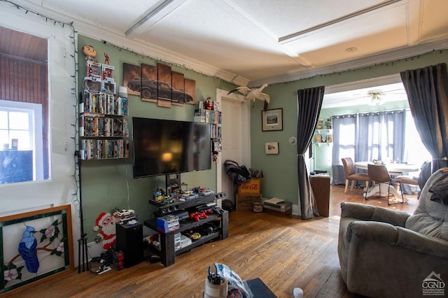 29 Railroad Ave, Chatham, NY 12037 - living room featuring hardwood / wood-style floors, plenty of natural light, crown molding, and attic access