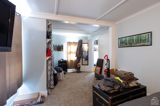 29 Railroad Ave, Chatham, NY 12037 - carpeted living area featuring crown molding