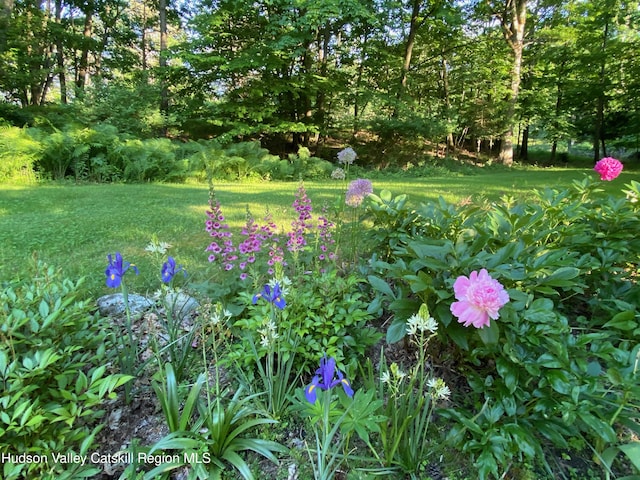33 River Rd, Chatham, NY 12037 - photo 7