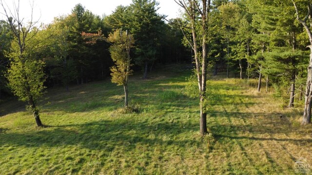 0 Bate Rd, Craryville, NY 12513 - photo 13