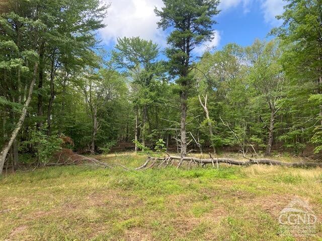 0 Bate Rd, Craryville, NY 12513 - photo 10