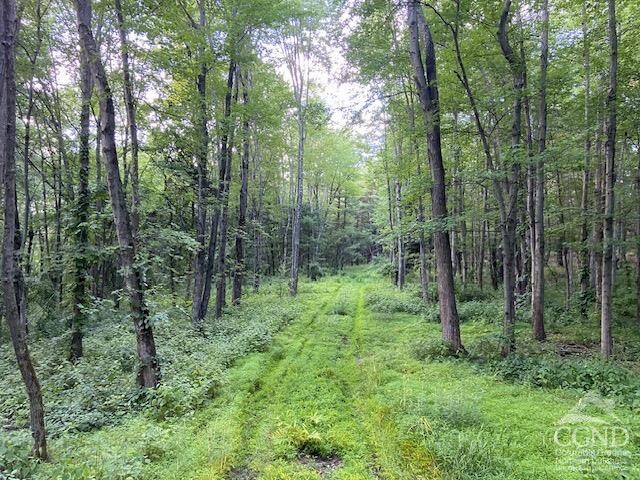 0 Bate Rd, Craryville, NY 12513 - photo 8