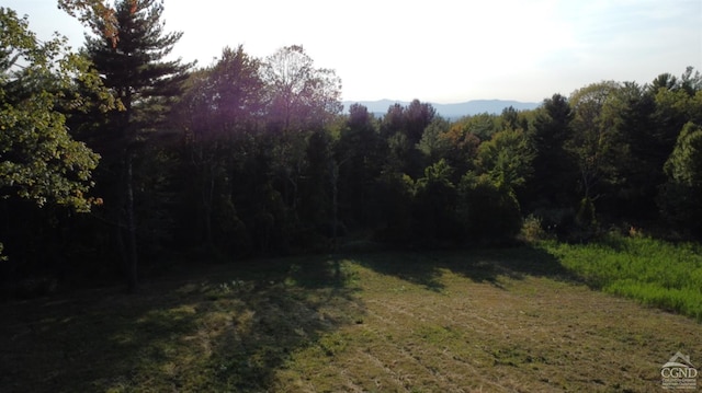 0 Bate Rd, Craryville, NY 12513 - photo 3