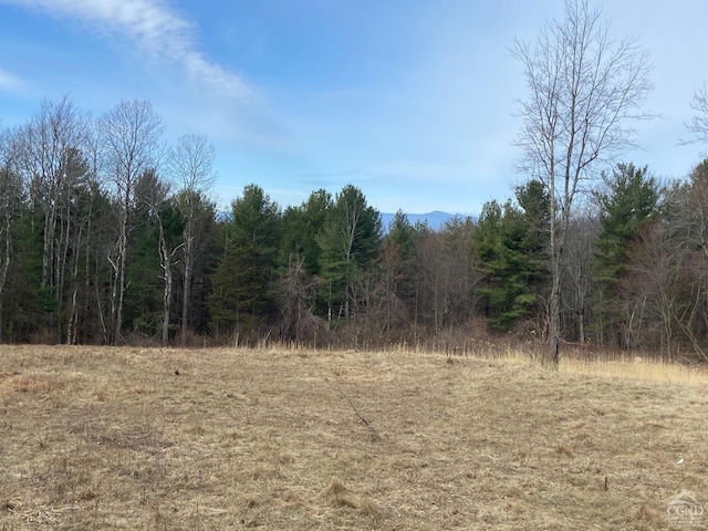 0 Bate Rd, Craryville, NY 12513 - photo 1