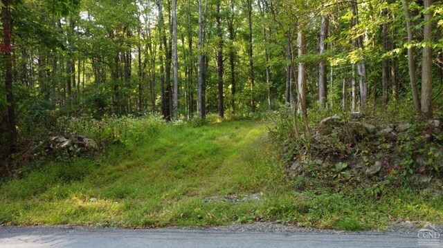 0 Bate Rd, Craryville, NY 12513 - photo 7