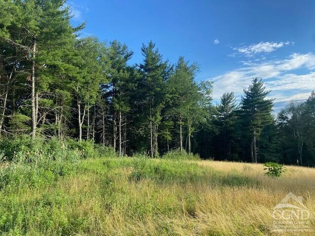 0 Bate Rd, Craryville, NY 12513 - photo 9