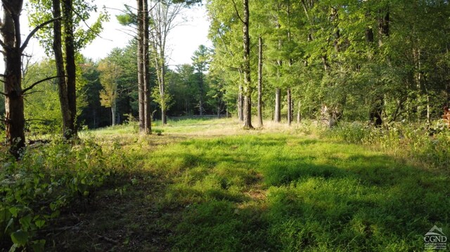 0 Bate Rd, Craryville, NY 12513 - photo 12