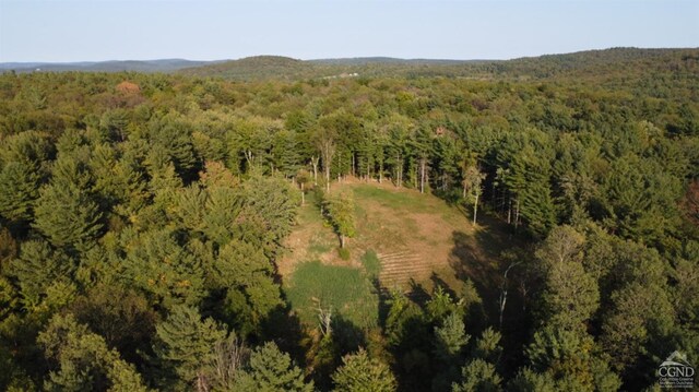 0 Bate Rd, Craryville, NY 12513 - photo 16
