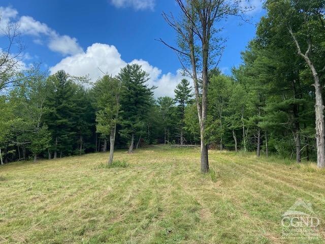 0 Bate Rd, Craryville, NY 12513 - photo 11