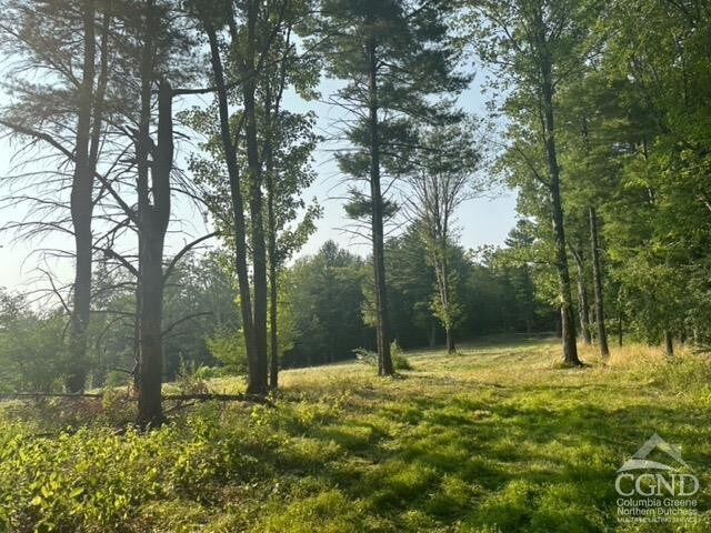 0 Bate Rd, Craryville, NY 12513 - photo 6