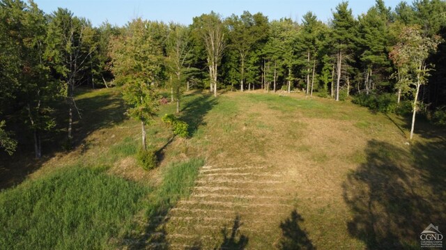 0 Bate Rd, Craryville, NY 12513 - photo 15
