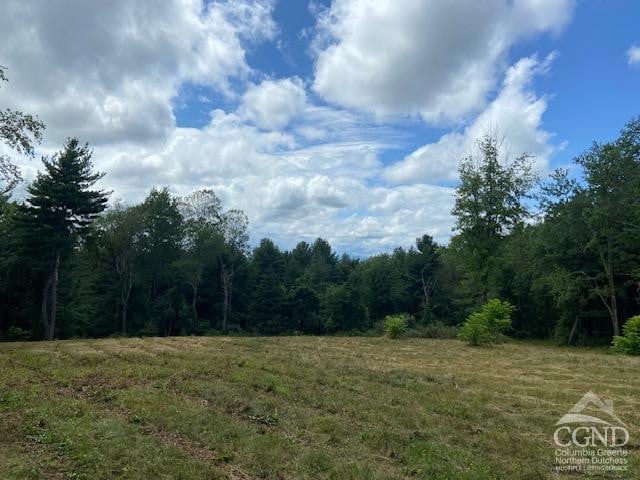 0 Bate Rd, Craryville, NY 12513 - photo 4