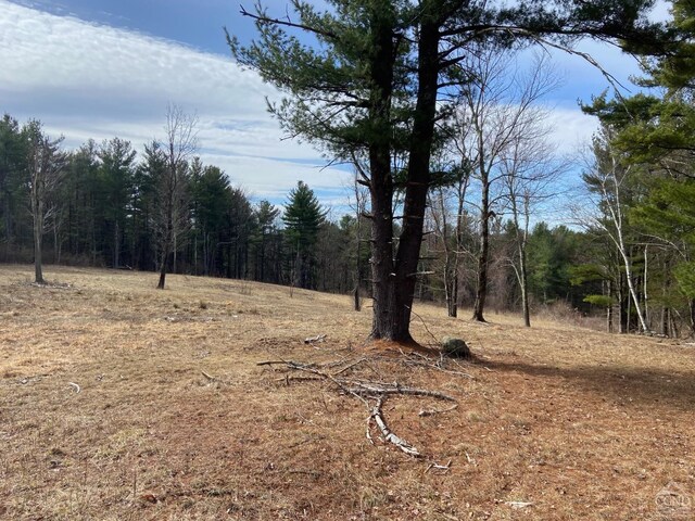 0 Bate Rd, Craryville, NY 12513 - photo 5
