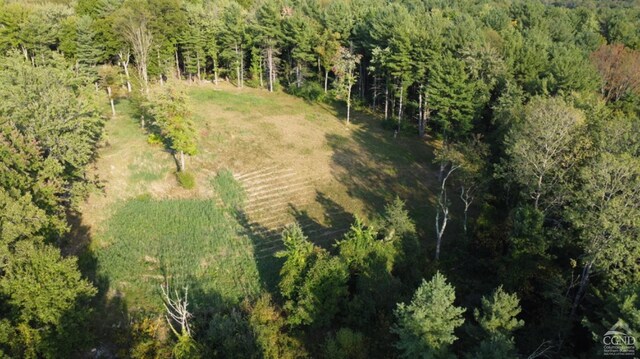 0 Bate Rd, Craryville, NY 12513 - photo 14