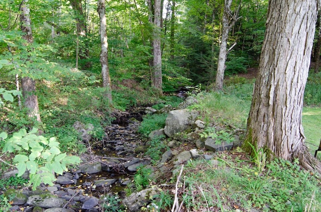 view of wooded area