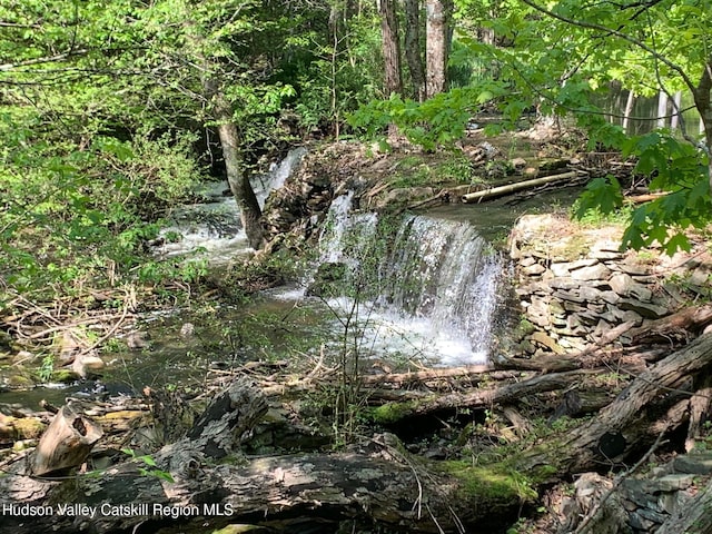 view of local wilderness
