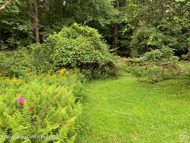 view of tree filled area