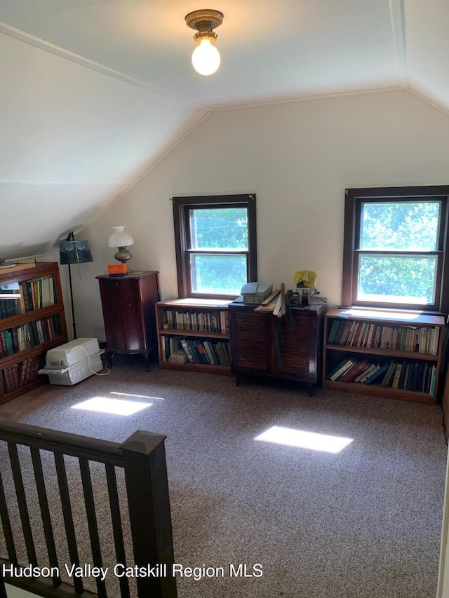 additional living space with lofted ceiling and carpet floors