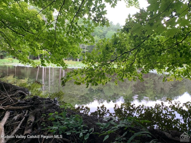 view of yard featuring a water view and a wooded view