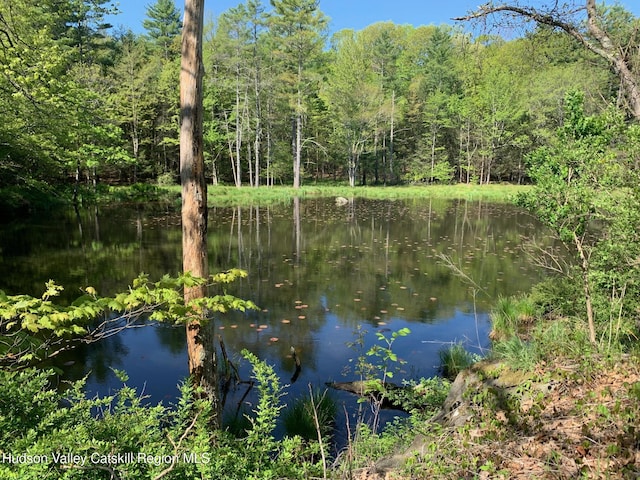 water view featuring a heavily wooded area