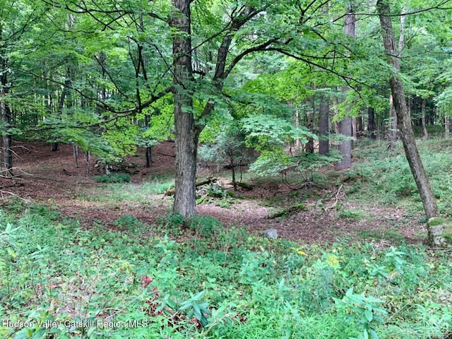 view of woods