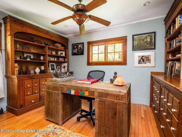 12 Library Ln, Woodstock, NY 12498 - office space featuring light wood-style flooring, ornamental molding, and a ceiling fan
