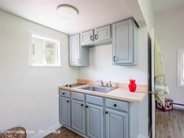 12 Library Ln, Woodstock, NY 12498 - kitchen featuring gray cabinets, wood finished floors, and baseboard heating