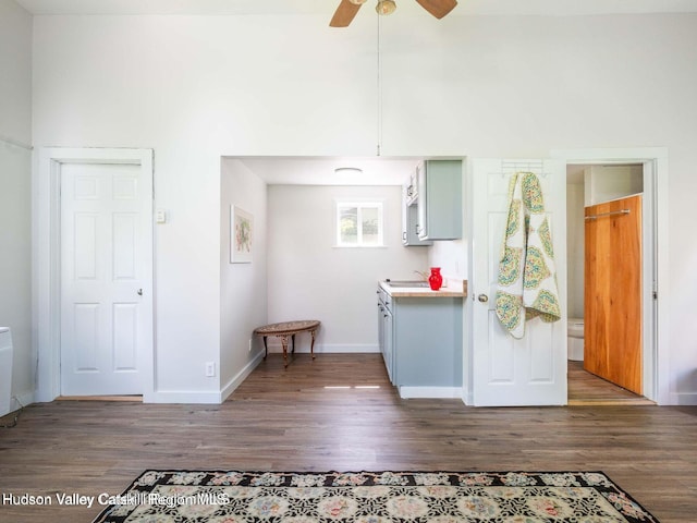 12 Library Ln, Woodstock, NY 12498 - kitchen with wood finished floors, light countertops, and ceiling fan
