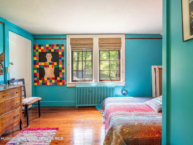 12 Library Ln, Woodstock, NY 12498 - bedroom with radiator and wood finished floors