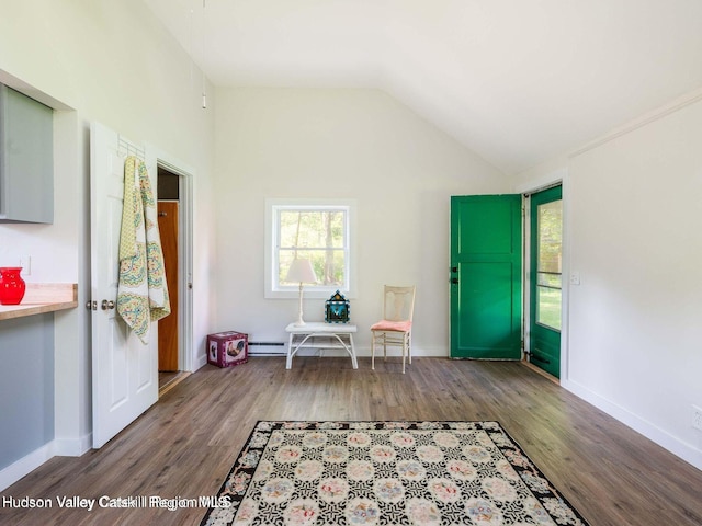 12 Library Ln, Woodstock, NY 12498 - entryway featuring wood finished floors and lofted ceiling