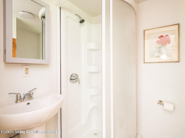 12 Library Ln, Woodstock, NY 12498 - full bath featuring a stall shower and a sink