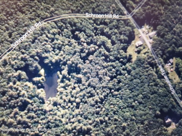 XX Schroon Hill Rd, Kerhonkson, NY 12446 - photo 6