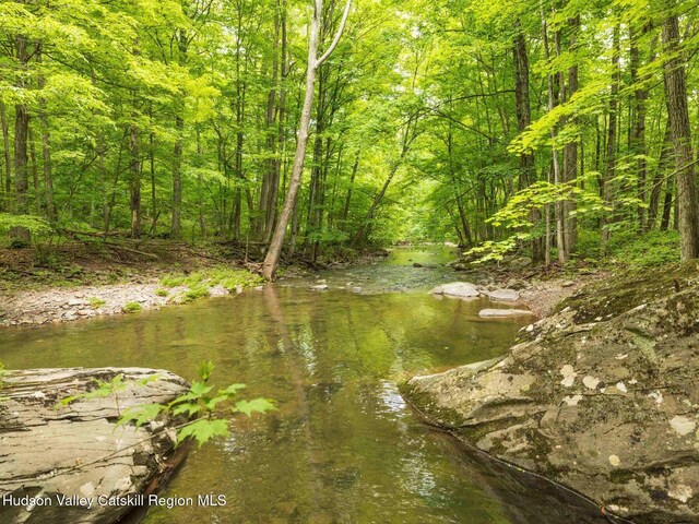 2762 Rte 145, East Durham, NY 12423 - photo 24