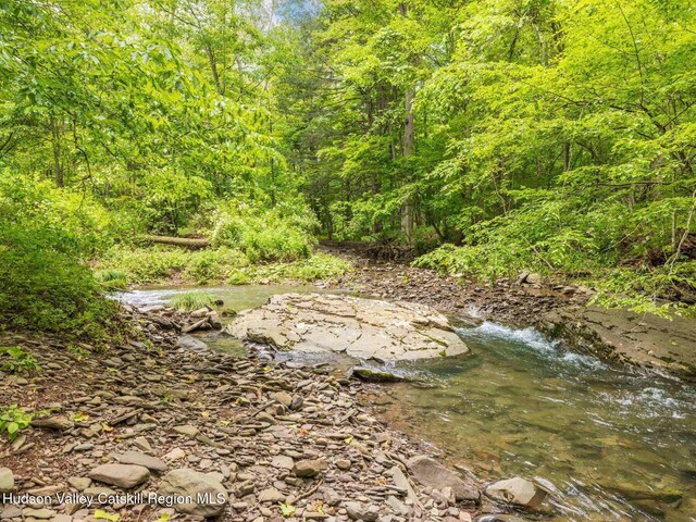 2762 Rte 145, East Durham, NY 12423 - photo 22