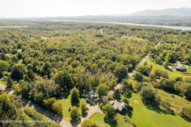 85 Round Top Rd, Germantown, NY 12526 - photo 35