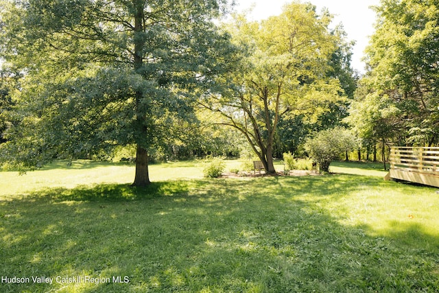 85 Round Top Rd, Germantown, NY 12526 - photo 32