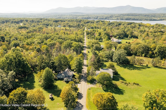85 Round Top Rd, Germantown, NY 12526 - photo 38