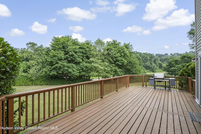 732 W Main St, Catskill, NY 12414 - photo 32