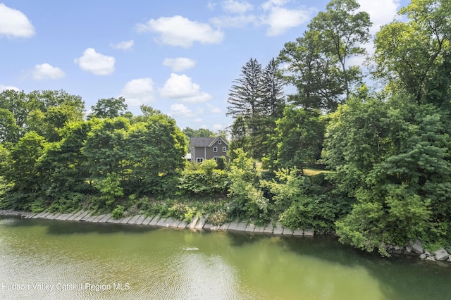 732 W Main St, Catskill, NY 12414 - photo 34