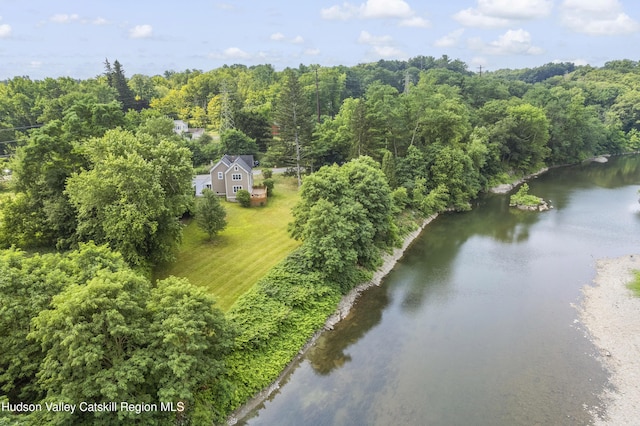 732 W Main St, Catskill, NY 12414 - photo 33